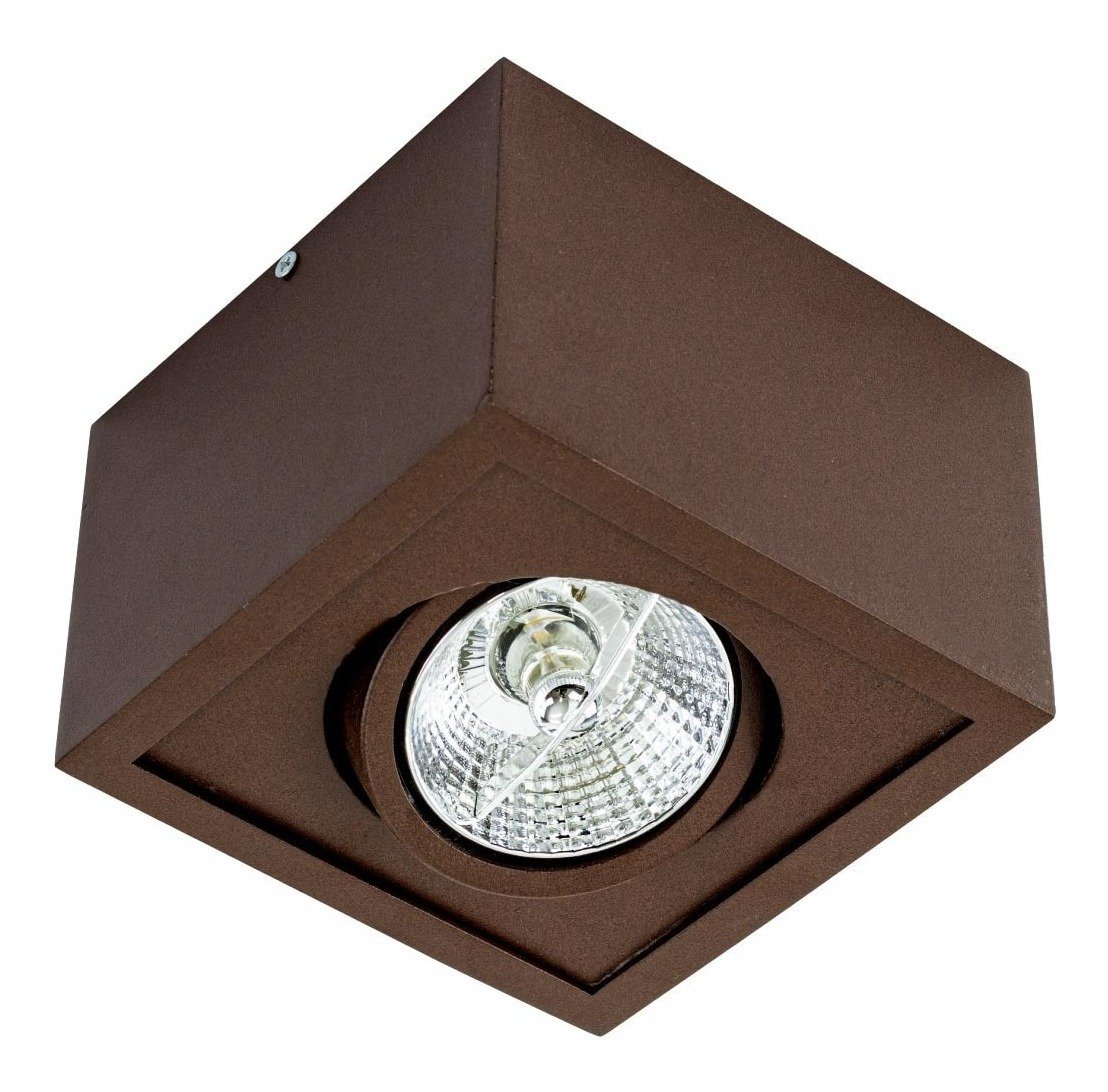 Imagem do produto Rioprelustres Plafon de Sobrepor 1 Lâmpada AR70 Marrom