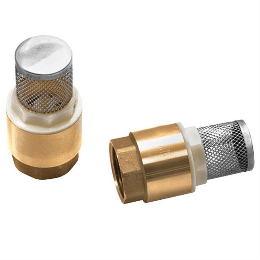 Imagem do produto Remadi Válvula de Pé (Fundo de Poço) 1"