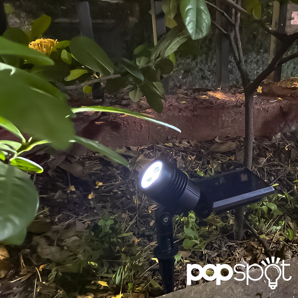 Imagem do produto Delis Spot Jardim 50W 6000K DS7335060