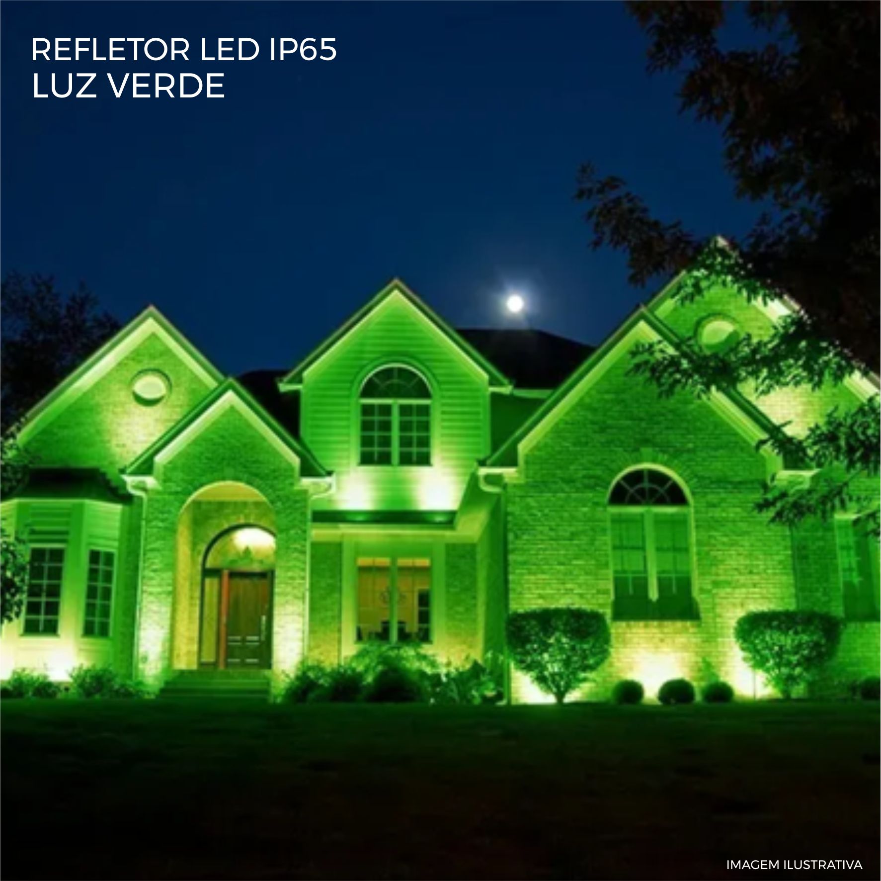 Imagem do produto Losch Refletor LED Slim 30W Verde