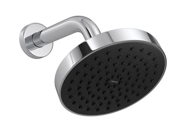Imagem do produto Deca Chuveiro/Ducha Flex Redondo Parede 126MM 2081.C